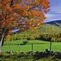 Image result for Northern New England Foliage