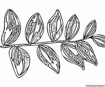 Image result for Branch Coloring Cartoons