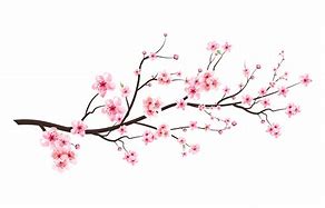 Image result for Cherry Blossom Branch Vector