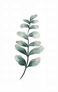 Image result for Leaf HD PNG Watercolor