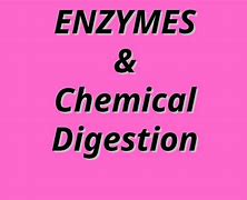 Image result for Dehydration Synthesis Equation