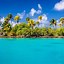 Image result for 4K Vector Art Palm Trees Wallpaper 4K