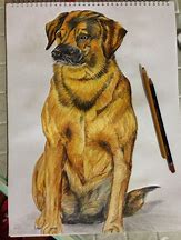 Image result for Colored Pencil Dog Drawings