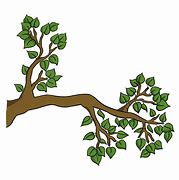 Image result for Tree Branch Cartoon Image