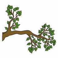 Image result for Tree Branch Line Art