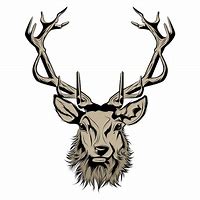 Image result for Stag Head Illustration