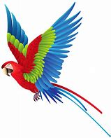 Image result for Colourful Birds Clip Art