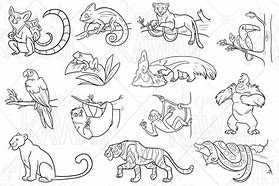 Image result for Rainforest Animals Drawing