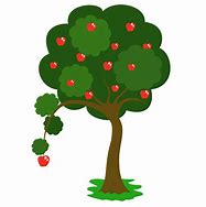 Image result for A Picture of an Apple Tree