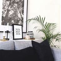 Image result for Palm Tree Living Room