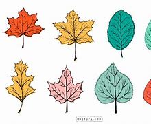 Image result for Simple Leaf Illustration