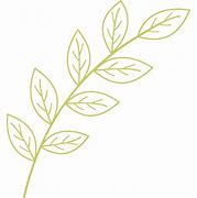 Image result for Leaf Branch Outline Clip Art