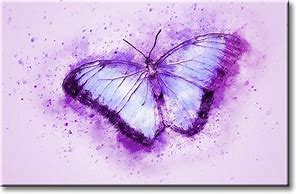 Image result for Framed Butterfly Wall Art