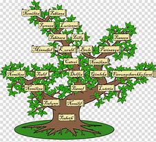 Image result for Free Clip Art for Family Tree