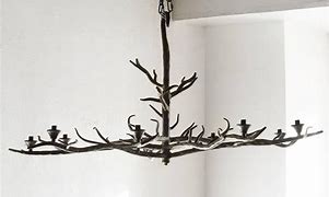 Image result for Tree Branch Chandelier