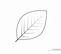 Image result for Printable Leaf Pictures