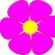 Image result for Pink Color Flower Clip Art