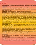 Image result for Photosynthesis Activity for Kids