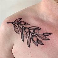 Image result for Olive Branches Designs