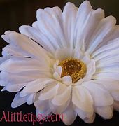 Image result for Ornamental Flower for Table