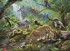 Image result for Rainforest Animal Toys