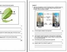 Image result for Photosynthesis and Cellular Respiration Test