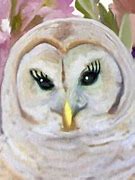 Image result for Sassy Owl