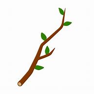 Image result for Branch Illustration