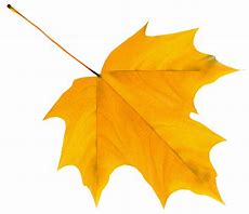 Image result for Yellow Fall Leaf Clip Art