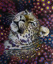 Image result for Wildlife Oil Paintings