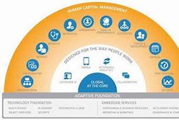 Image result for Workday Human Capital Management