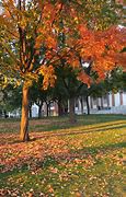 Image result for New York Catskills Fall Foliage