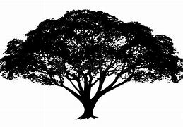 Image result for Big Tree Silhouette