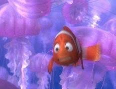 Image result for Finding Nemo Animation