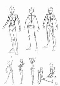 Image result for Basic Human Anatomy Drawing