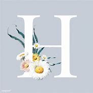 Image result for Alphabet Letter H Clip Art