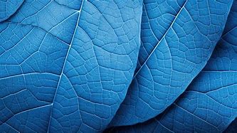 Image result for Background Leaf On Right Side