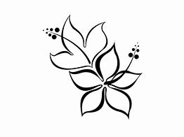 Image result for Cool Flower Drawings Tumblr