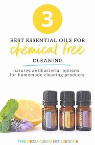 Image result for Best Essential Oils for Cleaning