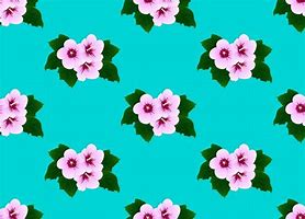 Image result for Variegated Rose of Sharon