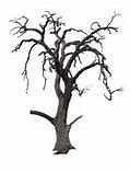 Image result for DIY Spooky Tree