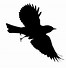 Image result for Bird On a Branch Silohette