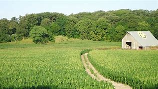 Image result for Nebraska Corn Building