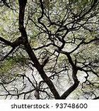 Image result for Artificial Tree Branches