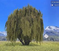 Image result for Willow Tree Template