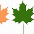 Image result for Maple Leaf Vector Art