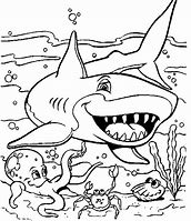 Image result for Free Sea Life Coloring Pages