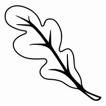 Image result for Oak Leaf Outline