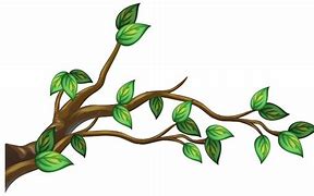 Image result for Vector Tree Branch Coloring