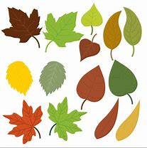 Image result for Leaf Silhouette Clip Art Free